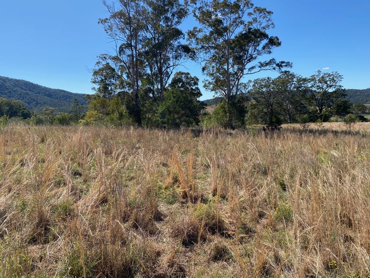 Click to view all images 427 Shaws Road Hollisdale NSW 2446 - Image 3