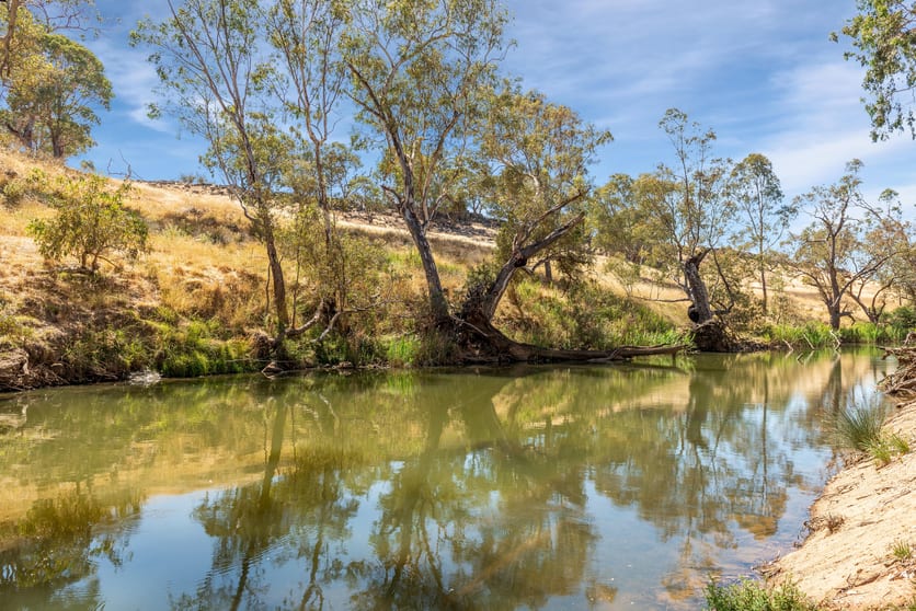 Click to view all images 93 Axedale Quarry Road Axedale VIC 3551 - Image 3