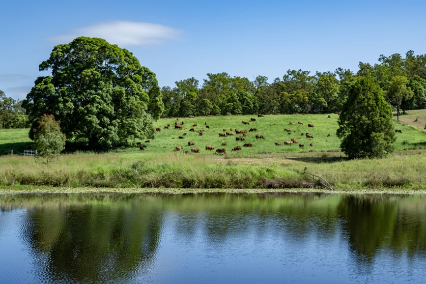 Click to view all images 273 Mooloo Road Mooloo QLD 4570 - Image 3