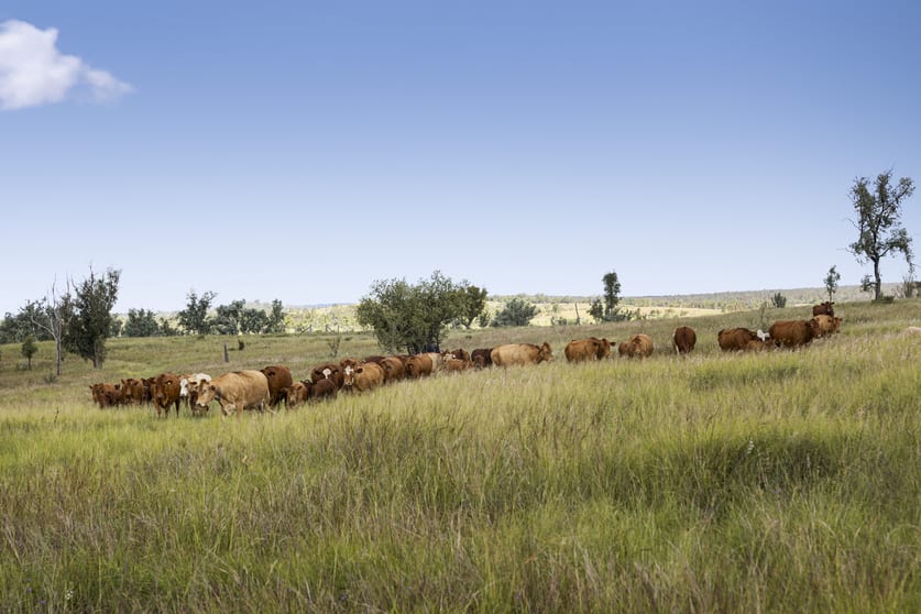 Click to view all images "Passchendaele" Bassingthwaightes Road Chahpingah QLD 4610 - Image 1
