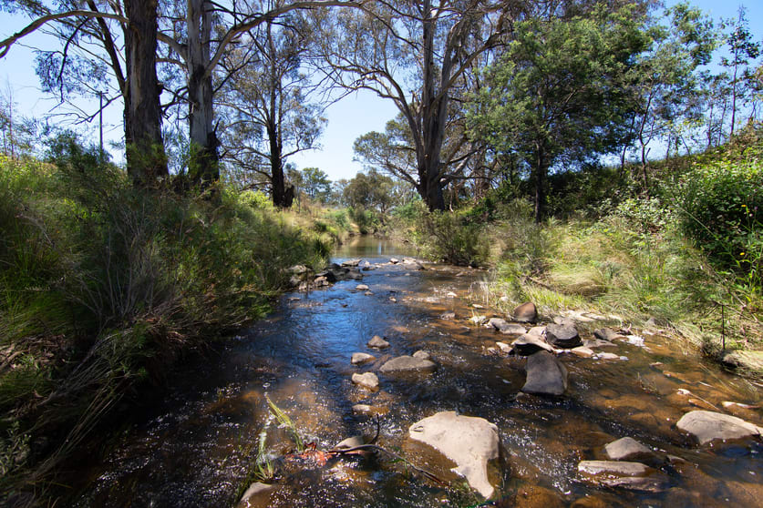 Click to view all images 955 Campbells Creek Road Mudgee NSW 2850 - Image 3