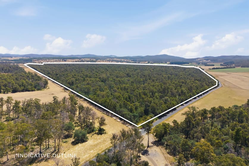Click to view all images PID 7420016 Bridgenorth Road Westwood TAS 7292 - Image 1