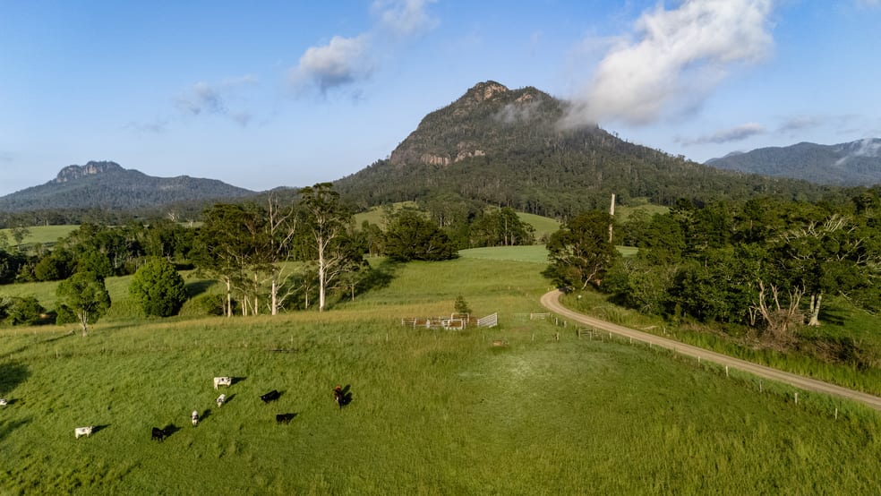 63 Mount Coxcomb Road Upper Lansdowne NSW 2430 - Image 2