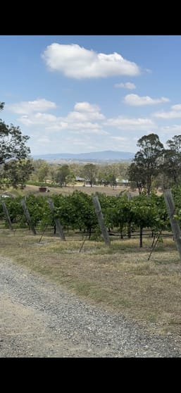 *** Talga Road Lovedale NSW 2325 - Image 1