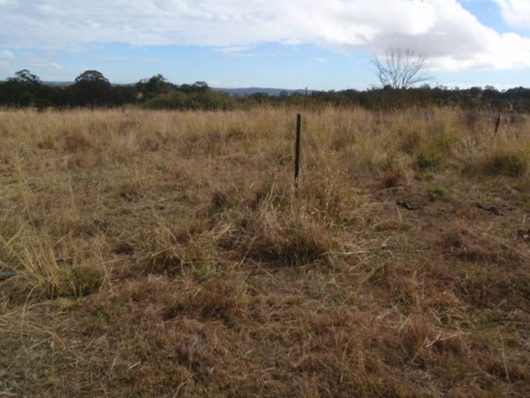 Blackbutt QLD 4314 - Image 1