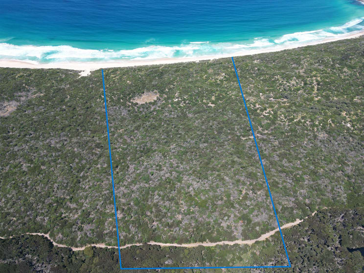 Lot 1 Red Hut Road Lymwood TAS 7256 - Image 1
