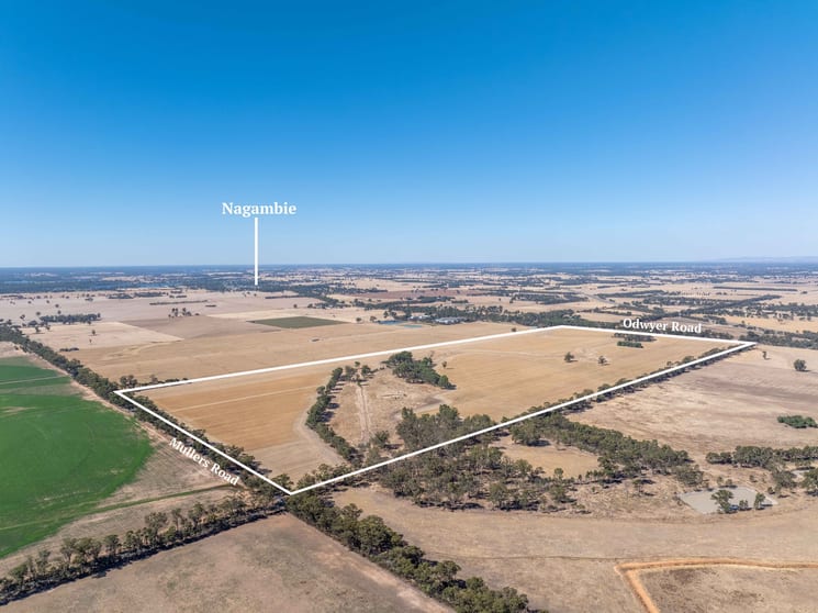 96 Odwyer Road Tabilk VIC 3607 - Image 3