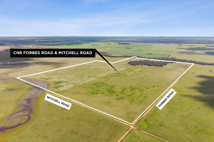 Cnr Forbes & Mitchell Roads Mitiamo VIC 3573 - Image 2