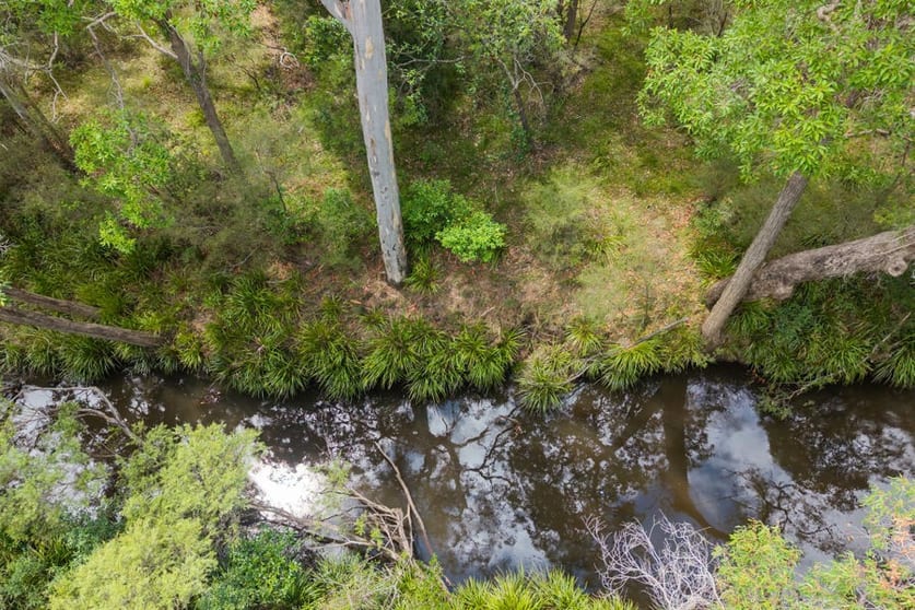 Click to view all images 1 Perch Road Wells Crossing NSW 2460 - Image 2