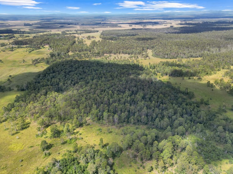 Lot 145 Ellangowan Myrtle Creek Road Ellangowan Via Casino NSW 2470 - Image 1