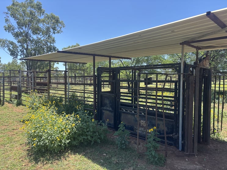 Click to view all images Lot 12 Capricorn Highway Jericho QLD 4728 - Image 3