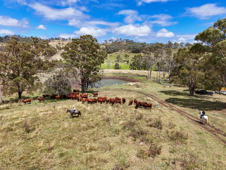 Click to view all images "PARADISE" 256 Paradise Road Mount Sylvia QLD 4343 - Image 2