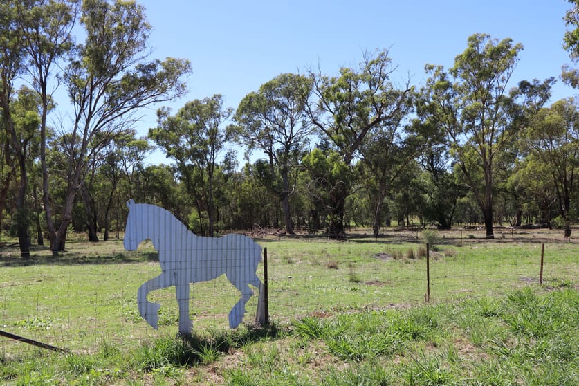 Click to view all images 52 BENDICK MURRELL ROAD, Bendick Murrell via Young NSW 2594 - Image 2