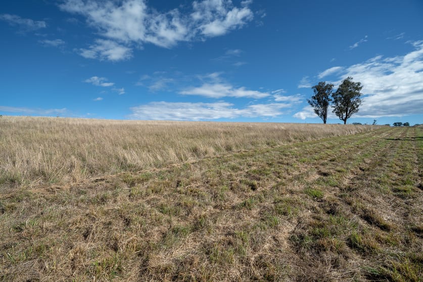 Click to view all images 614 Peabody Road Molong NSW 2866 - Image 3