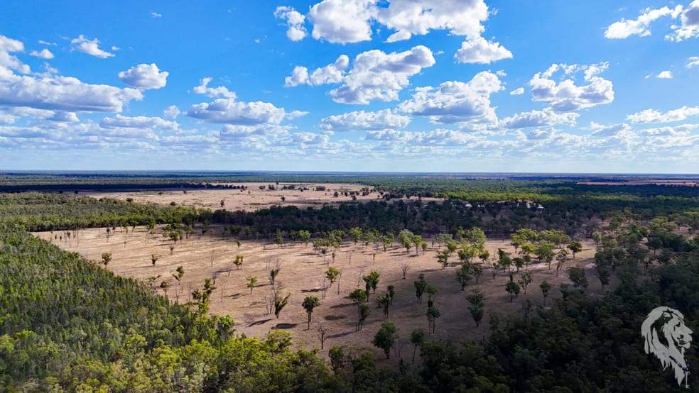 Click to view all images 10402 Newell Highway Jacks Creek NSW 2390 - Image 2