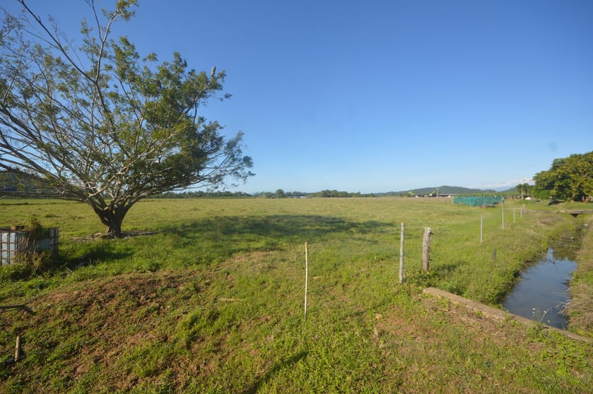 66 Gangemi Road Lower Cowley QLD 4871 - Image 3