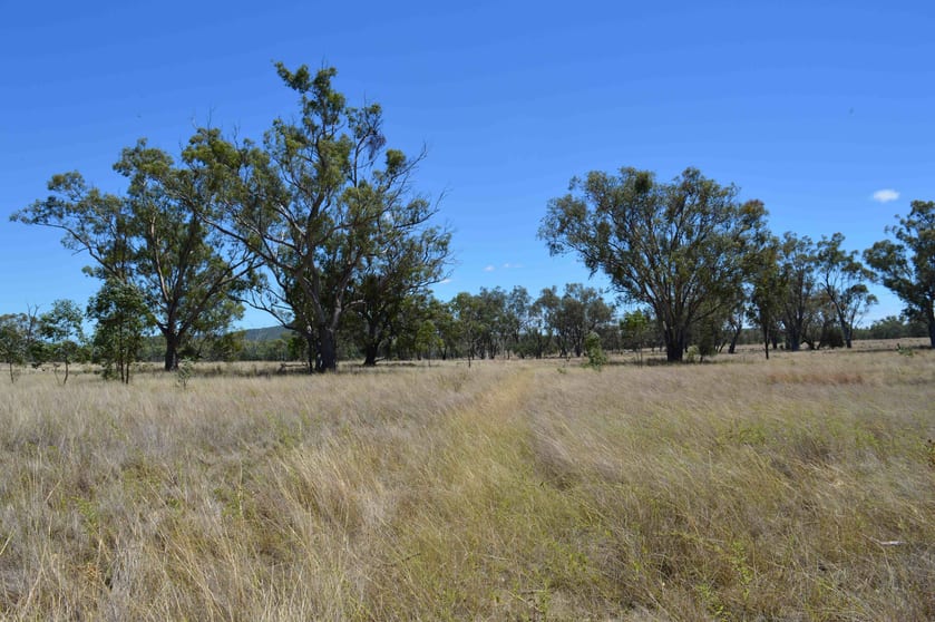 Click to view all images 247 Uandi Road Inglewood QLD 4387 - Image 1