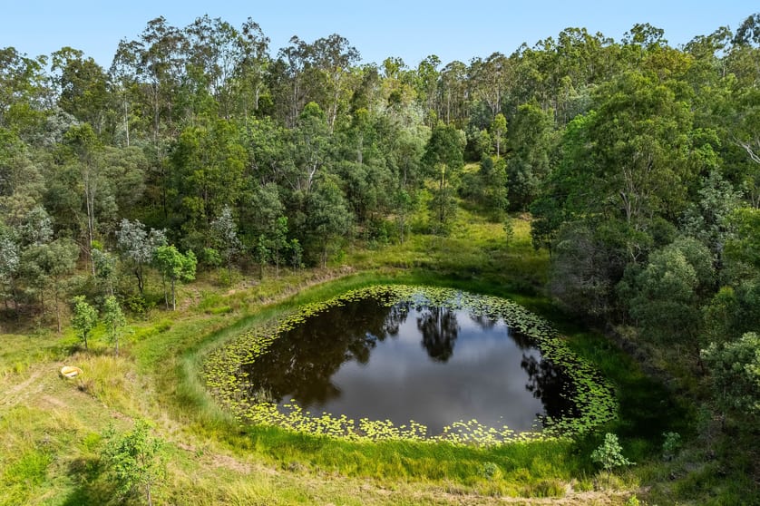 Click to view all images 284 Peckhams Road Ewingar NSW 2469 - Image 2
