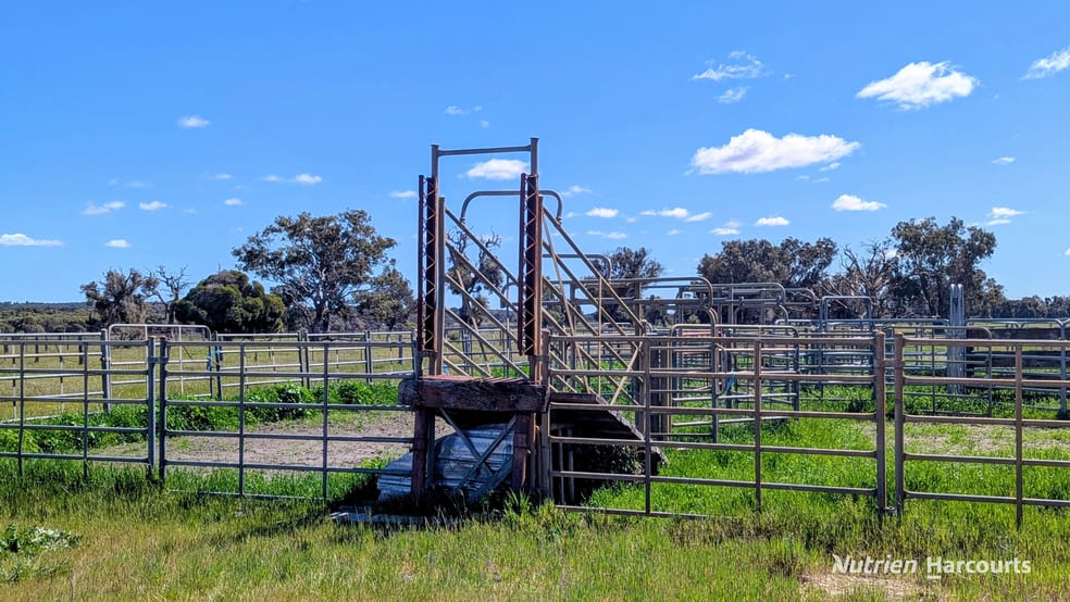 Click to view all images Lot 52 & 53 Cowalla Road, Cowalla Gingin WA 6503 - Image 3
