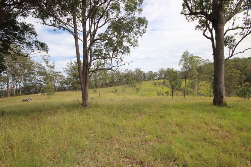 Click to view all images 702 Comboyne Road Byabarra NSW 2446 - Image 3