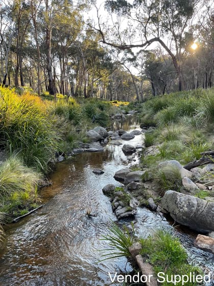 1224 Mount Mckenzie Road Tenterfield NSW 2372 - Image 1