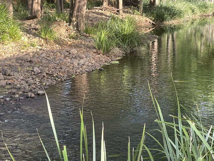 Click to view all images 160 Upper Crystal Creek Road Upper Crystal Creek NSW 2484 - Image 2