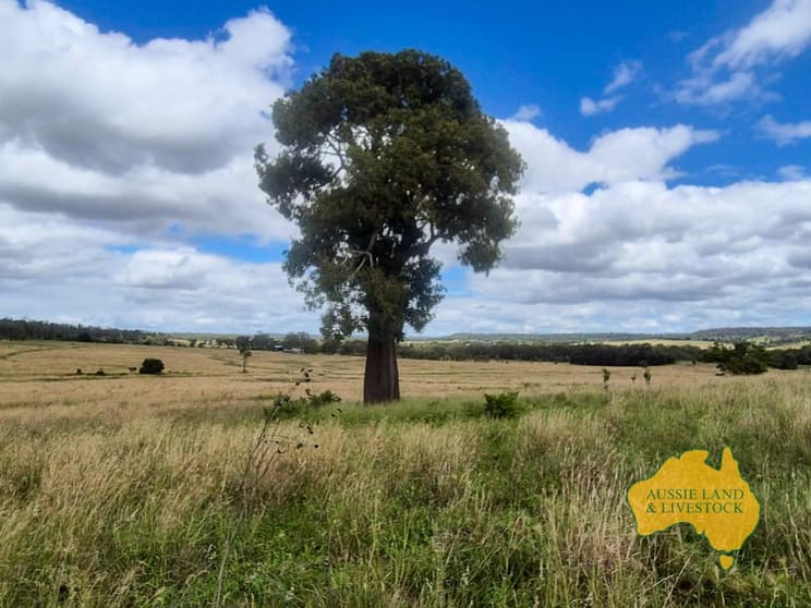 296 Cloyna West Road Cloyna QLD 4605 - Image 1