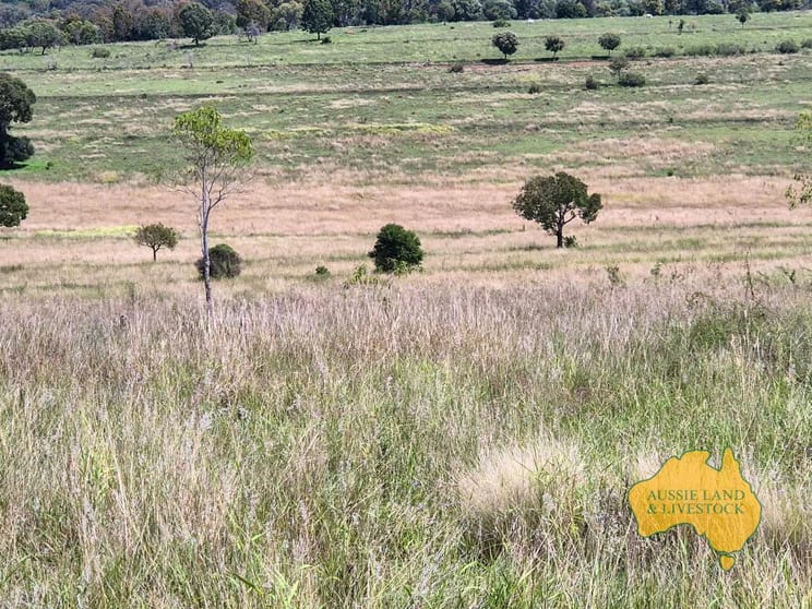 296 Cloyna West Road Cloyna QLD 4605 - Image 3