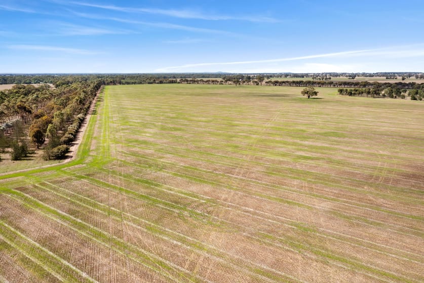 Click to view all images CA 57B Elmore-Minto Road Elmore VIC 3558 - Image 3