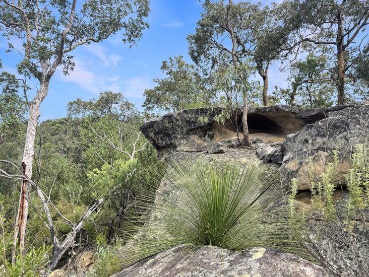 Click to view all images 112 Finchley Track Laguna NSW 2325 - Image 2