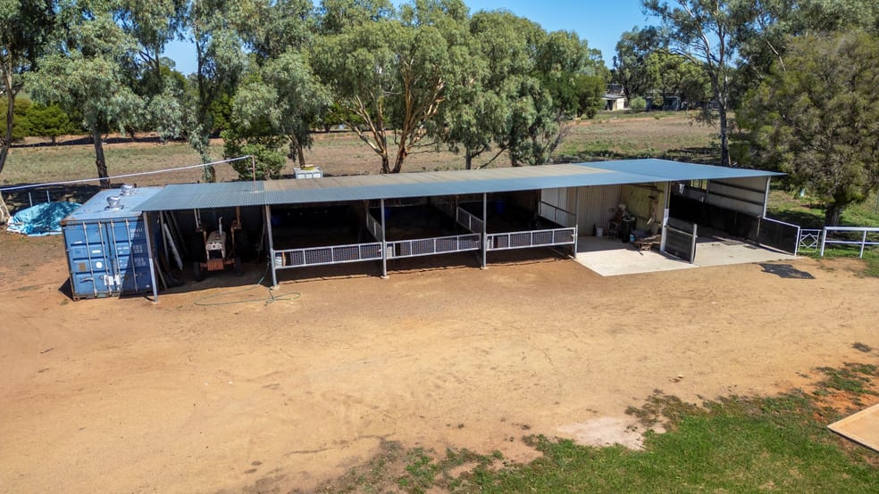 113 Grevillia Road Leeton NSW 2705 - Image 3