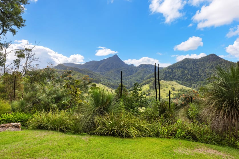 Click to view all images 2009 Kyogle Road Terragon NSW 2484 - Image 2
