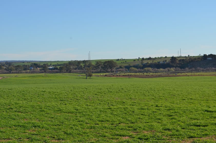 291 Murrawong Road Murray Bridge SA 5253 - Image 3