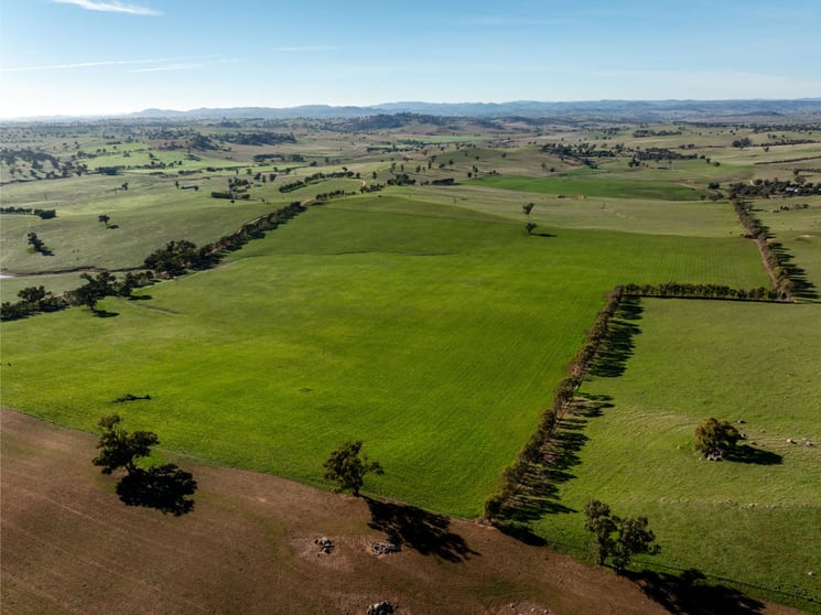 Click to view all images 478 Illawong Road Jugiong NSW 2726 - Image 1