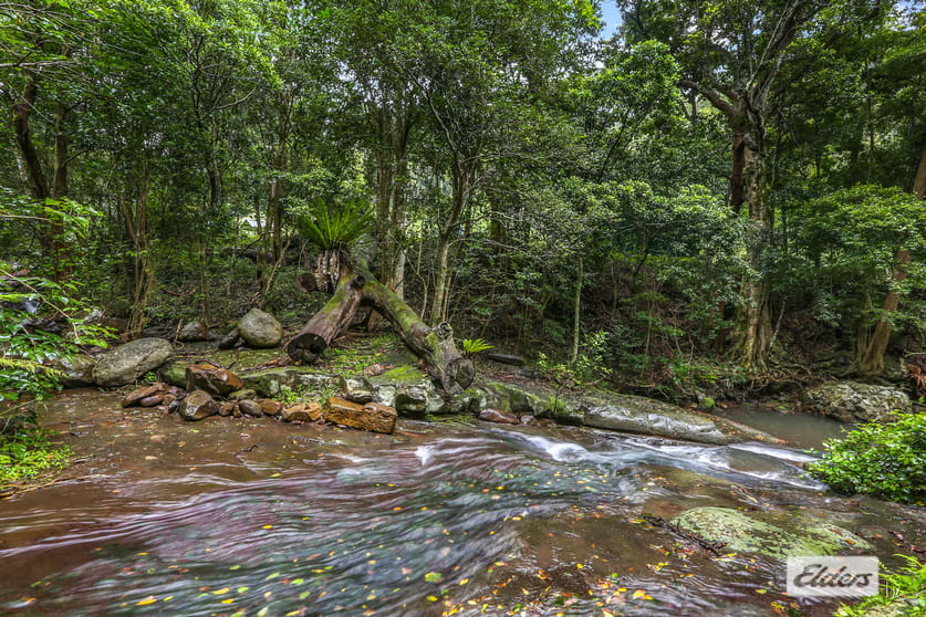 Click to view all images 411 Jamberoo Mountain Road Jamberoo NSW 2533 - Image 3