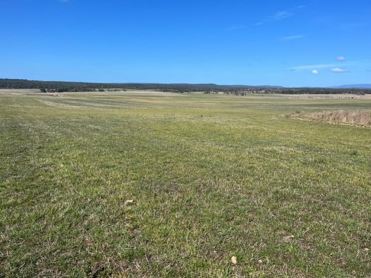 Click to view all images 559 North Ansons Road Gladstone TAS 7264 - Image 3
