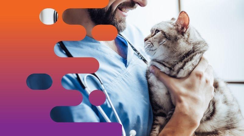 Animal Related  business for sale in Brisbane City - Image 2