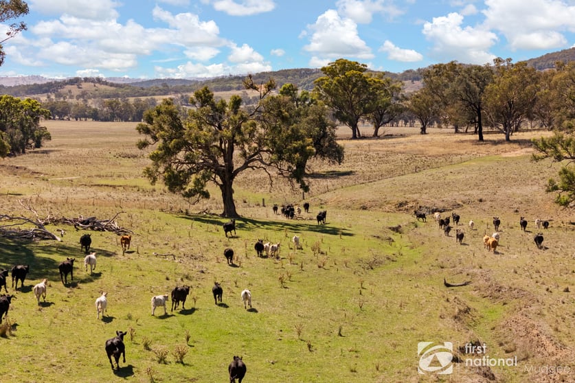 Click to view all images 365 Erudgere Lane Mudgee NSW 2850 - Image 2