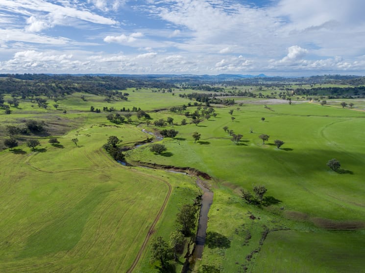 Hillgrove, 2851 Napier Lane Nombi NSW 2379 - Image 1
