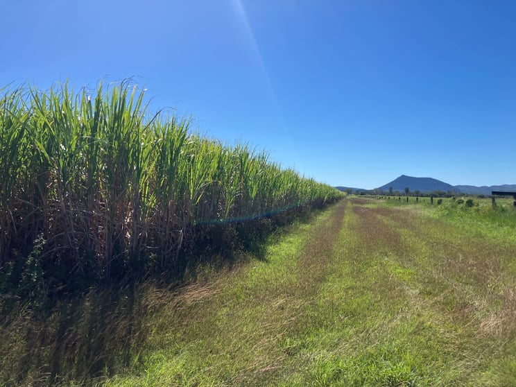 Click to view all images Glen Isla Road Glen Isla QLD 4800 - Image 1