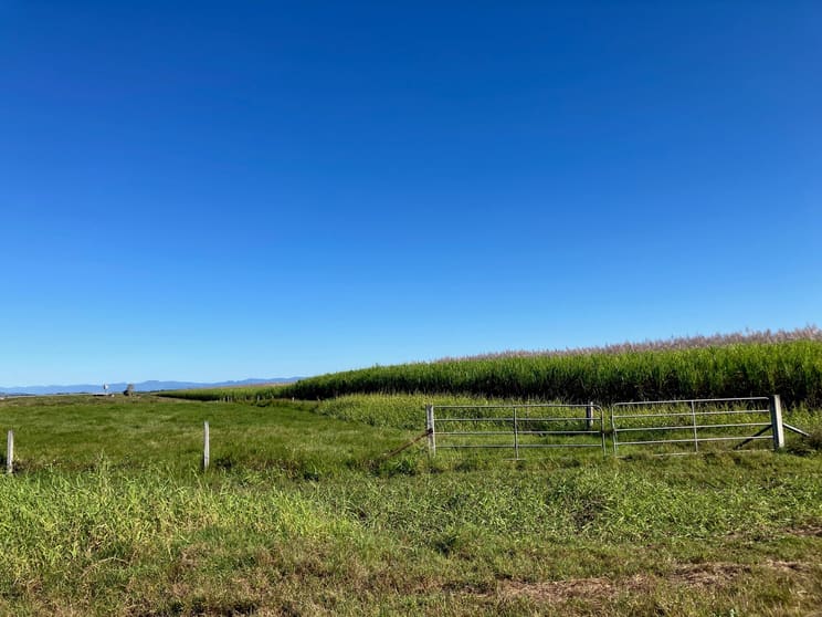 Click to view all images Glen Isla Road Glen Isla QLD 4800 - Image 3