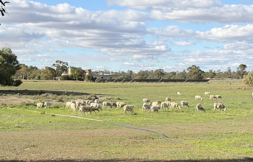 Click to view all images 'Selbit', 83 Four Post Road Deniliquin NSW 2710 - Image 3