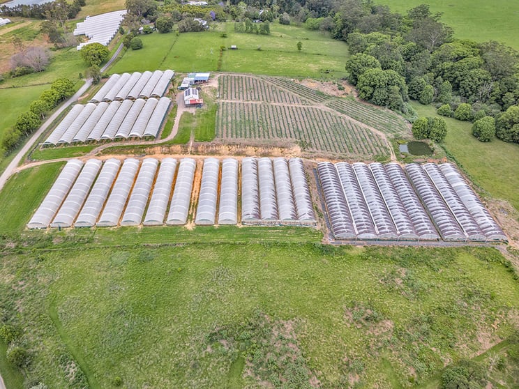 289 Mardells Road Bucca NSW 2450 - Image 3
