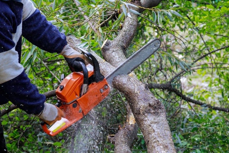 Click to view all images Gardening business for sale in QLD - Image 1
