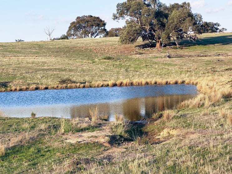 1277 Cheviot Hills Road Wagga Wagga NSW 2650 - Image 3