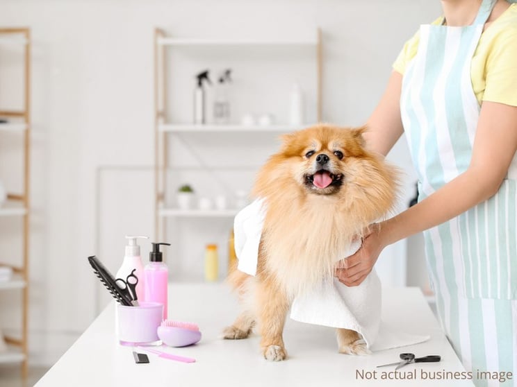 Animal Related  business for sale in Kenmore - Image 1