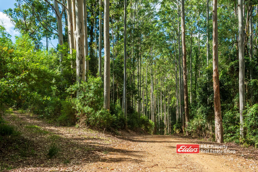 Off Thunderbolts Way, MARES RUN via Gloucester NSW 2422 - Image 3