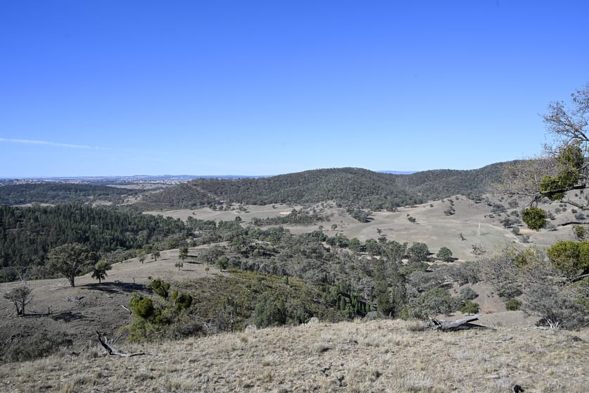 Click to view all images Gulgong NSW 2852 - Image 3
