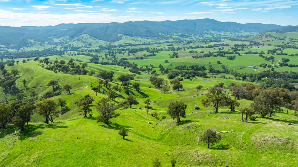 Sandy Creek Road Sandy Creek VIC 3695 - Image 1