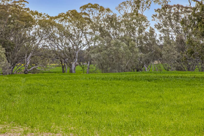 Lot 2 PS719922/441 Frenchmans - St Arnaud Road Barkly VIC 3384 - Image 1
